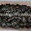 BEST SALE DRIED HONEY LOCUST WITHOUT SEEDS FROM VIETNAM