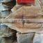 dried argentina squid fillet