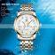 TRSOYE TRSJ8381 Minimalist Luxury Montre Bracelet Watch Gold Mechanical Automatic Watches Men