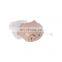 GM-916 mini invisible rechargeable cic hearing aids