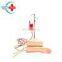 HC-S164 Medical science human forearm combination transfusion simulator Hand and elbow combined vein training model