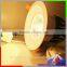 Modern Product 20 w cob Chip led downlight, dimmable led recessed downlight,ip65 led cob downlight