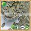 GWS Pumpkin Seeds animal feeds