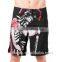 Grips Legionario Fight Shorts