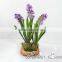 garden decoration artificial Hyacinth fake flower bonsai landscaping flower bonsai narcissus