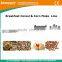 Corn Flakes Processing Equipments/High Capacity Corn Flakes Machinery