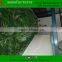 Aritificia Green wall/ Aritificia plant wall/fake Plants for Wall