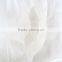 Disposable Men Male Underwear for SPA Salone Use