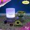 2016 300ml Classical Aroma Essential Oil Diffuser