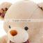 Teddy Stuffed Bear,Teddy Bear Toy,Plush Teddy Bear,Plush Big Teddy With Printing Tie