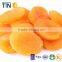 TTN 2016 Wholesale Apricot New Dried Fruit Prices Dried Apricot