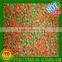 Frozen fruits IQF raspberry A grade