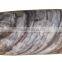 Regular U Shape Micro Beads Printing Travel Neck Pillow