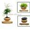 new top hot selling mini floating plant pots