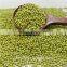 Green mung bean Moong dal for sprouting