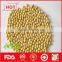 Hot sale dried soybeans in bulk with high quality