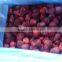 FROZEN STRAWBERRY