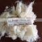 REAL PHOTO!! Chinese carded wool, 20-22mic, 30-70mm, raw white color, making yarn, beddings