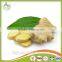 2016 Season mature old Ginger