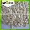 shine skin pumpkin seeds inquiry with lowest price and good quality