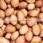 Peanuts