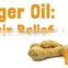 Top Quality Ginger oil price