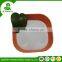 Natural map 12-61 for grassland