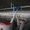 animal automatic feeding system for pig farm