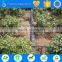 drip tape irrigation system for agriculture waterring &irrigation system