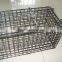 Humane Galvanized Mouse Trap Cage