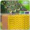 Hydroponics NFT water air cooler pad