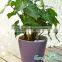 Self-watering PP Plastic Type Large Outdoor Flower Pot
