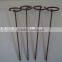Staples/ Galvanized ground pin china supplier