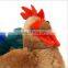 8 inch long bean weighted body cocky the stuffed soft toy rooster plush