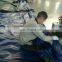 Waterproof roof cover poly tarps 8X10 feet pe tarpaulin sheet