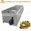 Leafy , Rhizomes vegetables processing line / commercial vegetable washing machinery