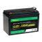 Deep Cycle 12V 24V 48V 100Ah LiFePO4 Battery Pack Replacement Lead Acid Battery