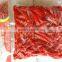 Best Price Frozen Hot Red Chili from Vietnam