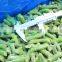 Frozen Green Beans Cut IQF Green Beans Cut Frozen 2-6 Green Beans Cut