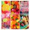 Small Home Gummies Vitamin Gummy Bear Making Machine Depositing Machine 20 Kg Per Hour
