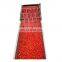 small scale canned tomato paste processing plant