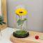 Artificial Enchanted Golden Sunflower Led Lamp In Glass Dome Wooden Base Decor With Light Valentine's Day Gifts Holiday Lighting