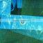 Green scaffolding safety net export to Iraq,green construction safety net
