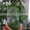 4mm ultra clear float glass