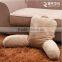 Special Cushion