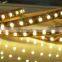 196pcs/m led strip lights 2835 led strip Led strip 2835 waterproof ip66 led strip light 12V/24V 5000k led strip 2520LM/M