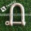 Stainless Steel D Shackle With Screw Pin