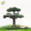 plastic enviroment friendly home decor artificial pine tree for promotion