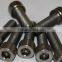Hexagon Socket Set Titanium Surgical Screws Price