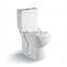 Sanitary Ware Washdown Squatting Water Closet